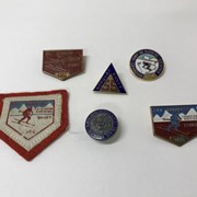 Cover image of  Pin Collection